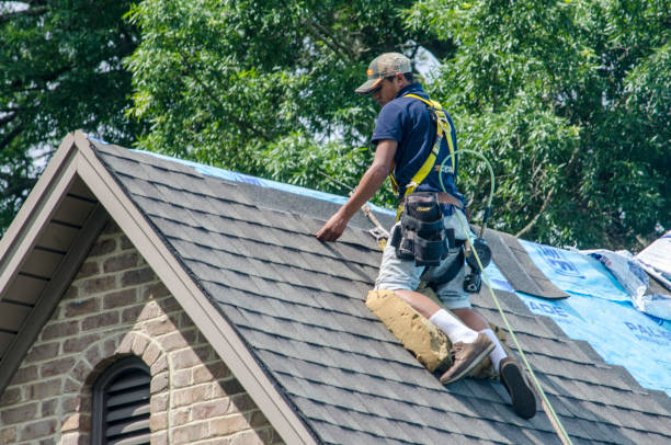 Best Roof Gutter Cleaning  in Arnold, CA